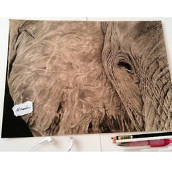 Elephant Portrait drawing