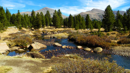 Fall in Yosemite NPS