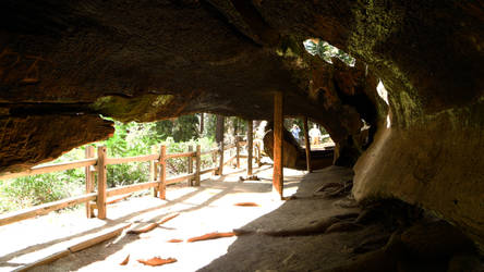 Inside a Sequoia