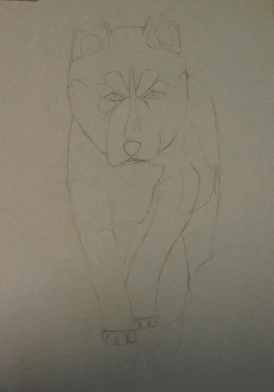 Puppy outline