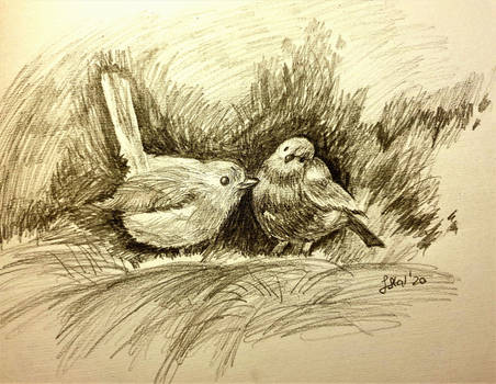 Daily Drawing #10: Birdies