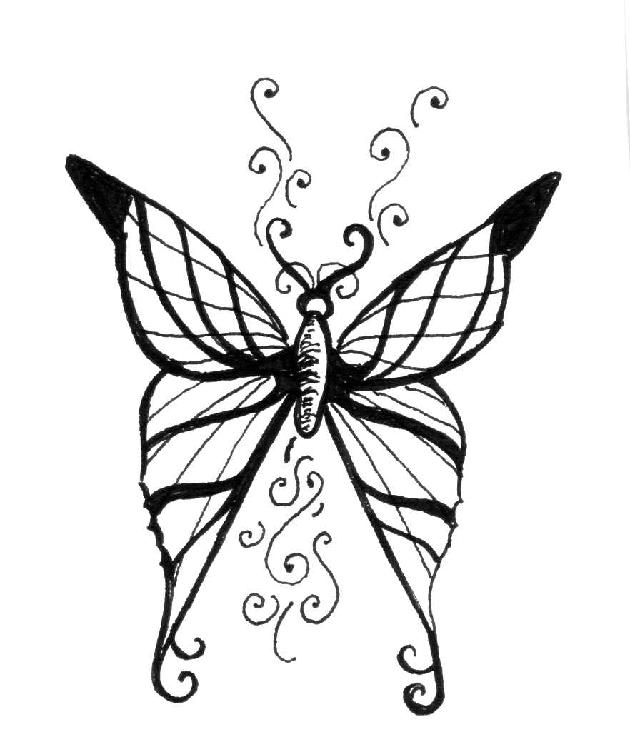 butterfly