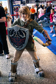 Anime Matsuri 2014 - Link Cosplay