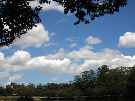 Blue Sky. White Clouds.