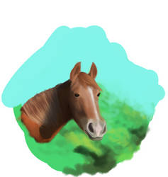 horse