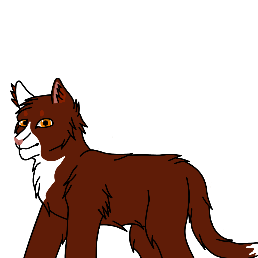 Duskfall (oc) by HarryPotterfanfreak on DeviantArt