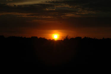 Wilderness Sunset 1