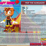 AMY ROSE IN WONDERLAND (TRIP THE SUNGAZER)