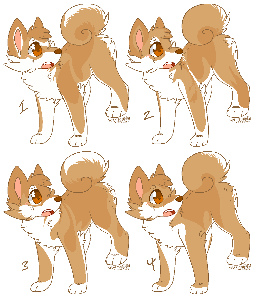 [SOLD] Shiba Adopts