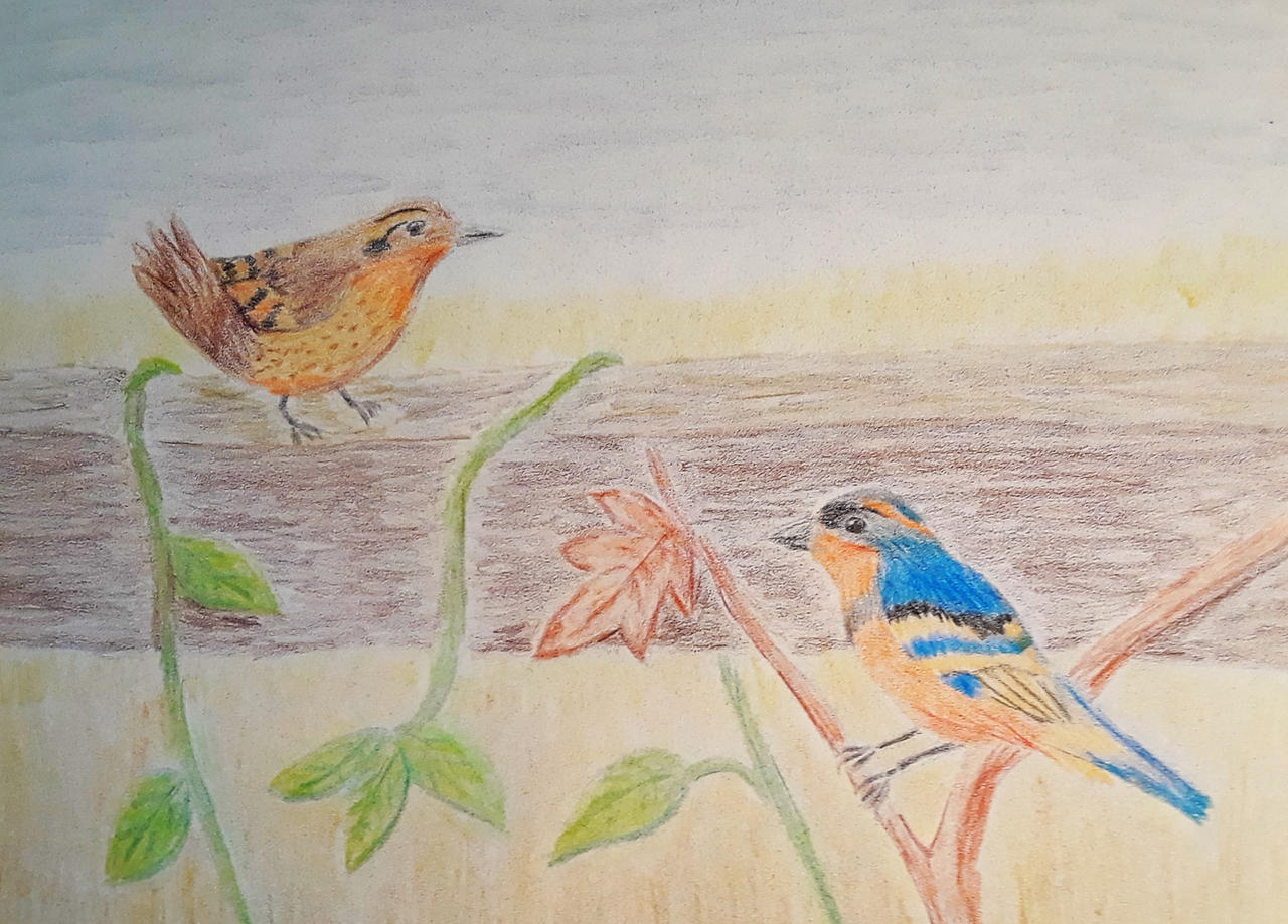 Bird Falling Deviantart Two Birds On A Nice Fall Day by kathleenzmurphy on DeviantArt