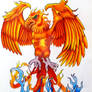 Phoenix tattoo design.