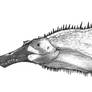 Sketchy Spinosaurus