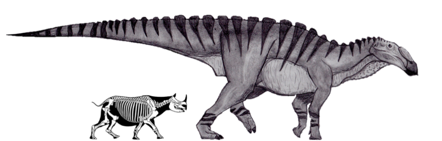Huaxiaosaurus is Freaking Huge