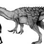 Megaraptor namunhuaiquii Scale