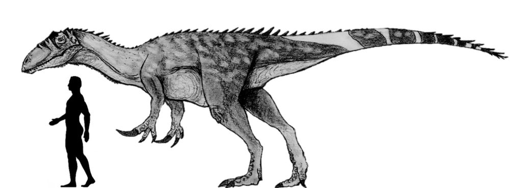 Megaraptor namunhuaiquii Scale