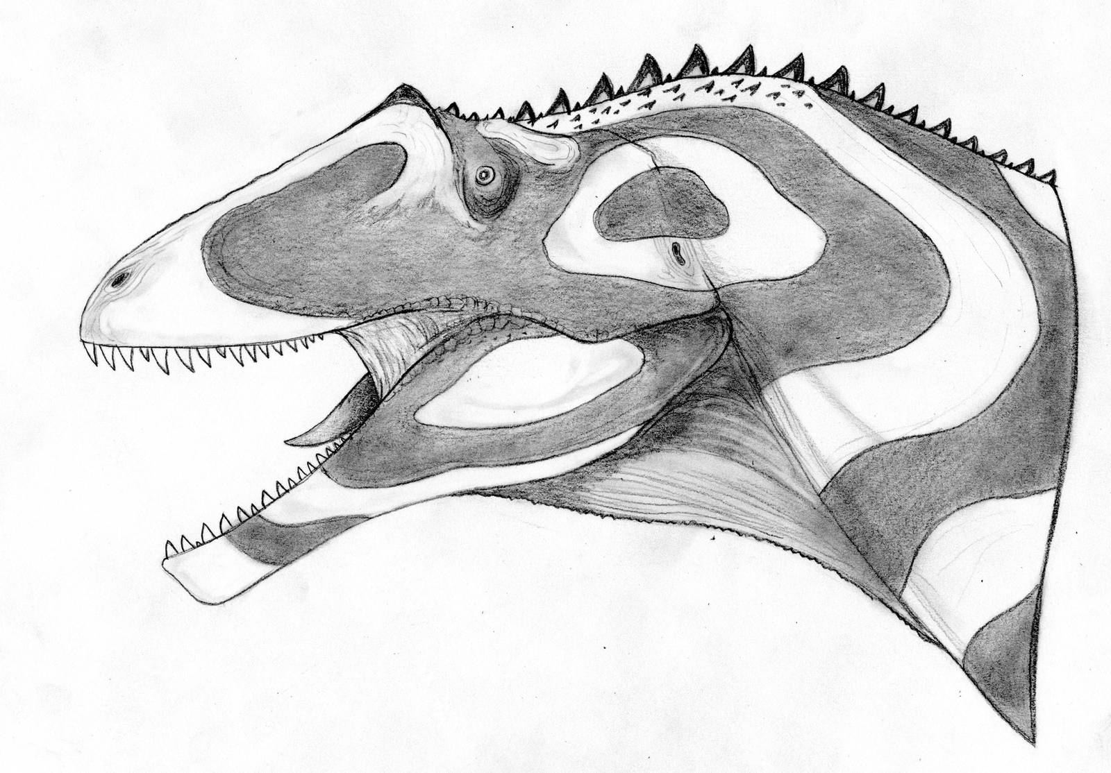 Saurophaganax maximus by Fragillimus335