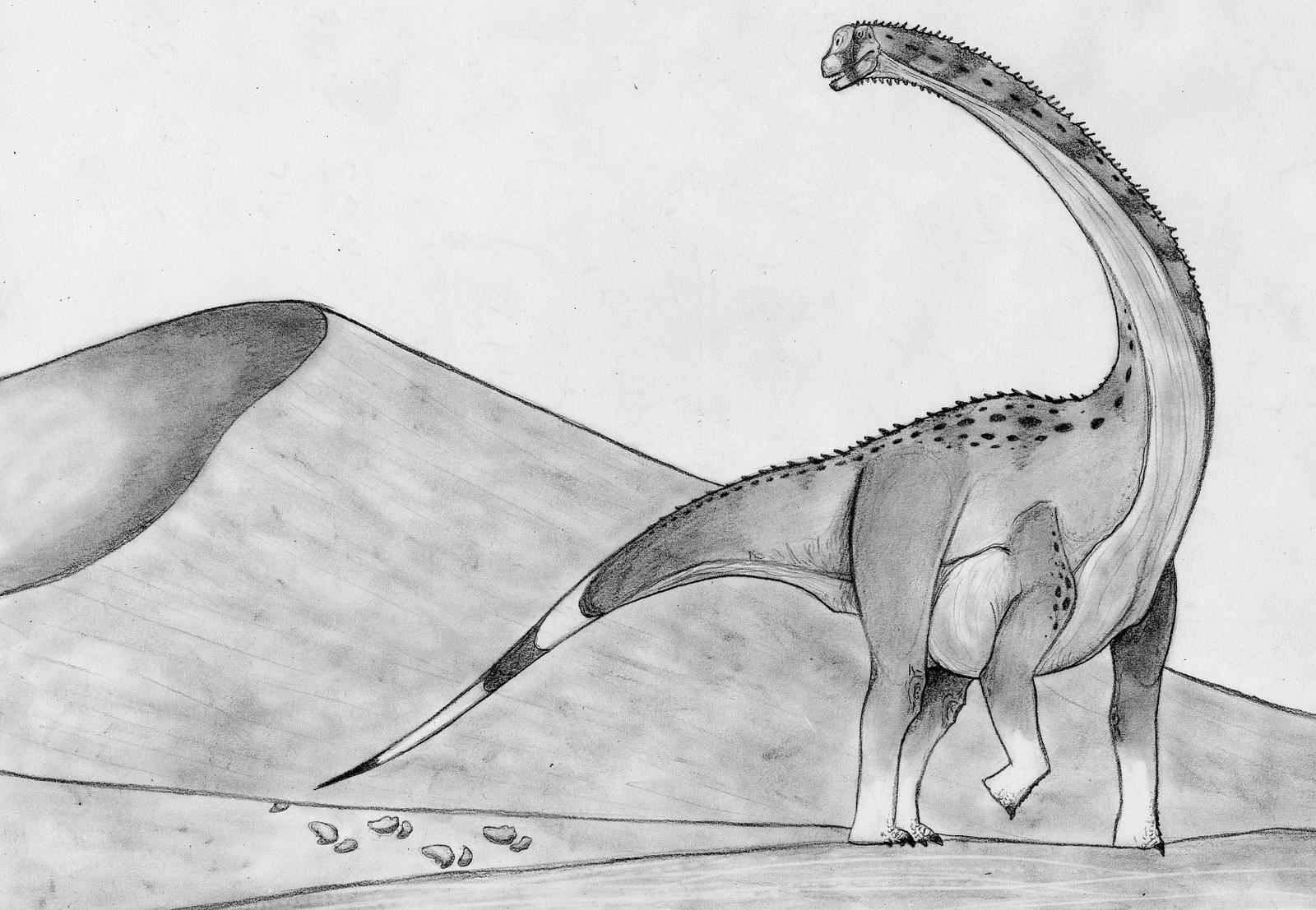 The Broome Titanosaur