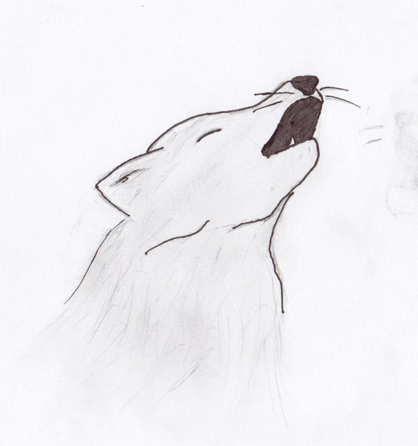 Wolf Scrap 1 by Aiko-Nami on DeviantArt