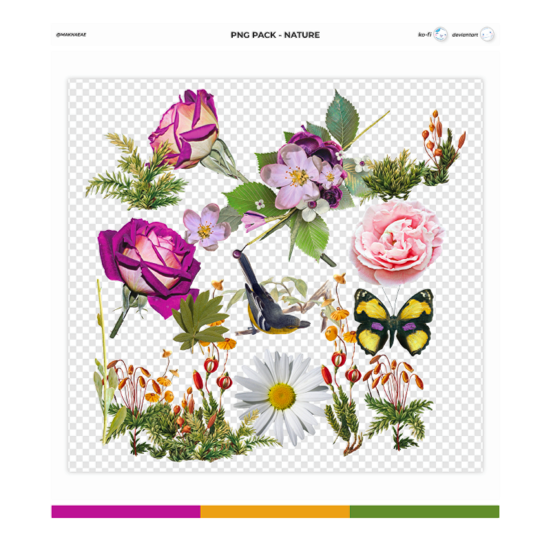 PNG Pack - Nature by maknaeae on DeviantArt