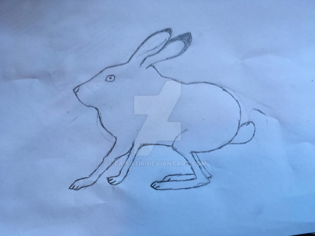 How To Draw A Jackrabbit