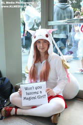 Kyubey asks a question
