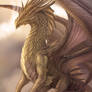 Dragon Chronicles - Divine Dragon