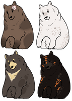 bear auction adopts [ open! ]