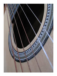 The Acoustic Guitar