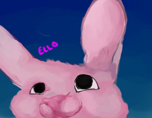 Pink Bunny