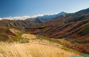 Autumn Moutain View