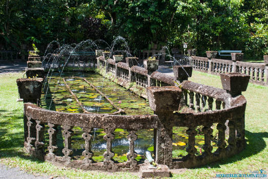 Fountain Pond