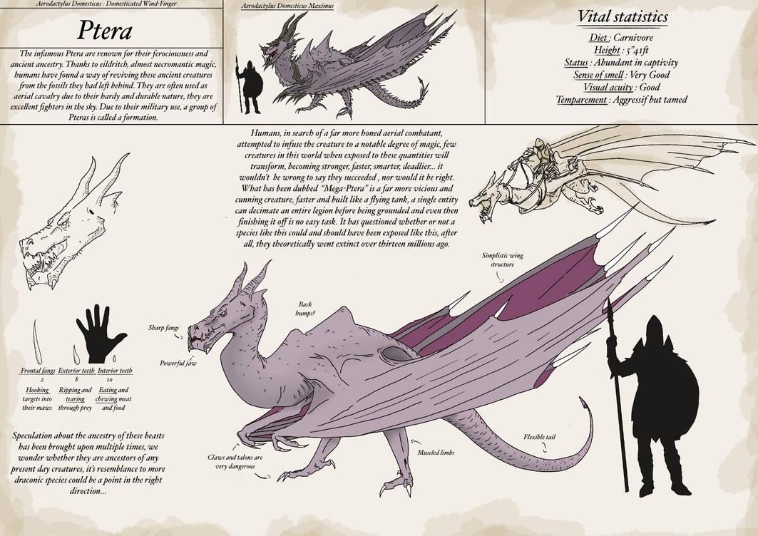 Ptera : Realistic Pokemon by Tristovia941 on DeviantArt