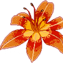 F2U | Tiger Lily Pagedoll