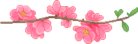F2U | Flower Branch Divider - Right by ProfileDecor