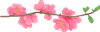 F2U | Flower Branch Divider - Right