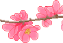 F2U | Flower Branch Divider - Left