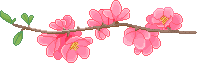F2U | Flower Branch Divider - Left by ProfileDecor