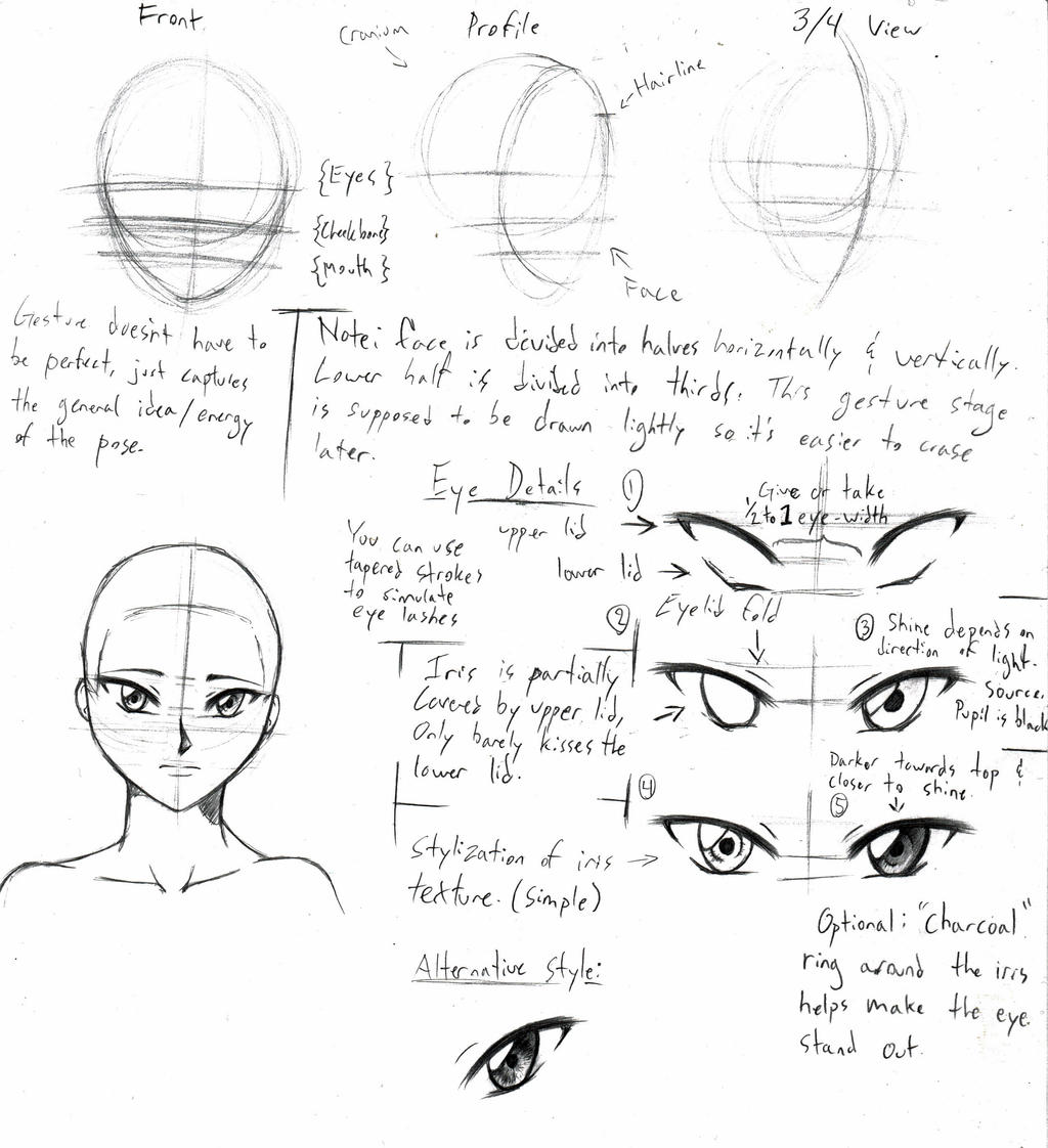 Head Tutorial pt. 1 by CappuccinoSquid on DeviantArt