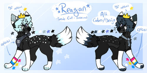 Reagan's reference sheet