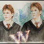 Weasley Twins