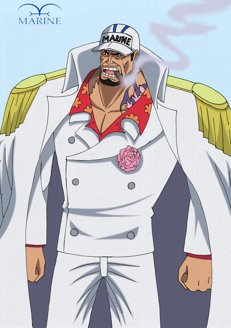 The Fleet Admiral - Akainu