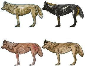 Adoptables