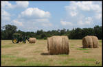 Feild of Dreams by kat1967