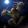 Raphael attacks