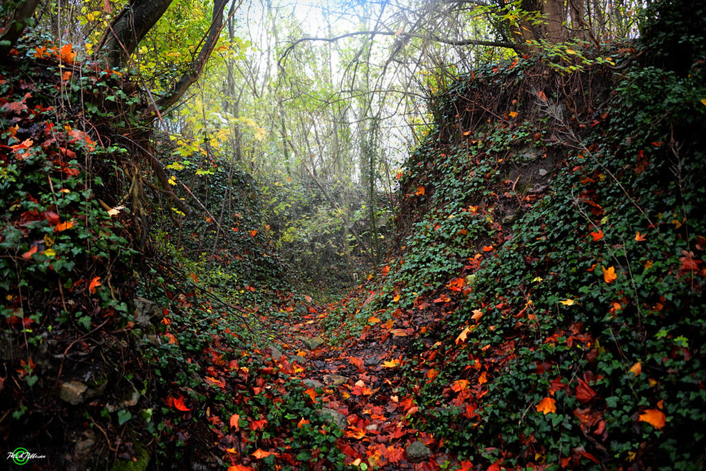 Native Red Path Red path by H3ad0n on DeviantArt