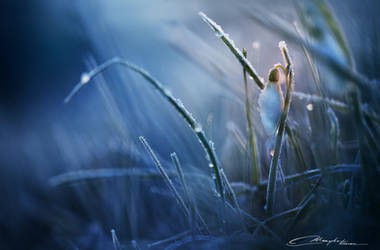 The Last of Winter by MaaykeKlaver