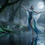 The Forest Muse - Wallpaper 1