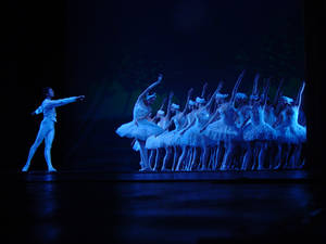 swan lake