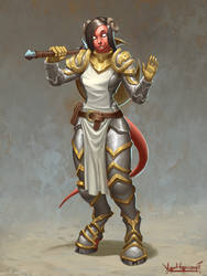 Tiefling Paladin