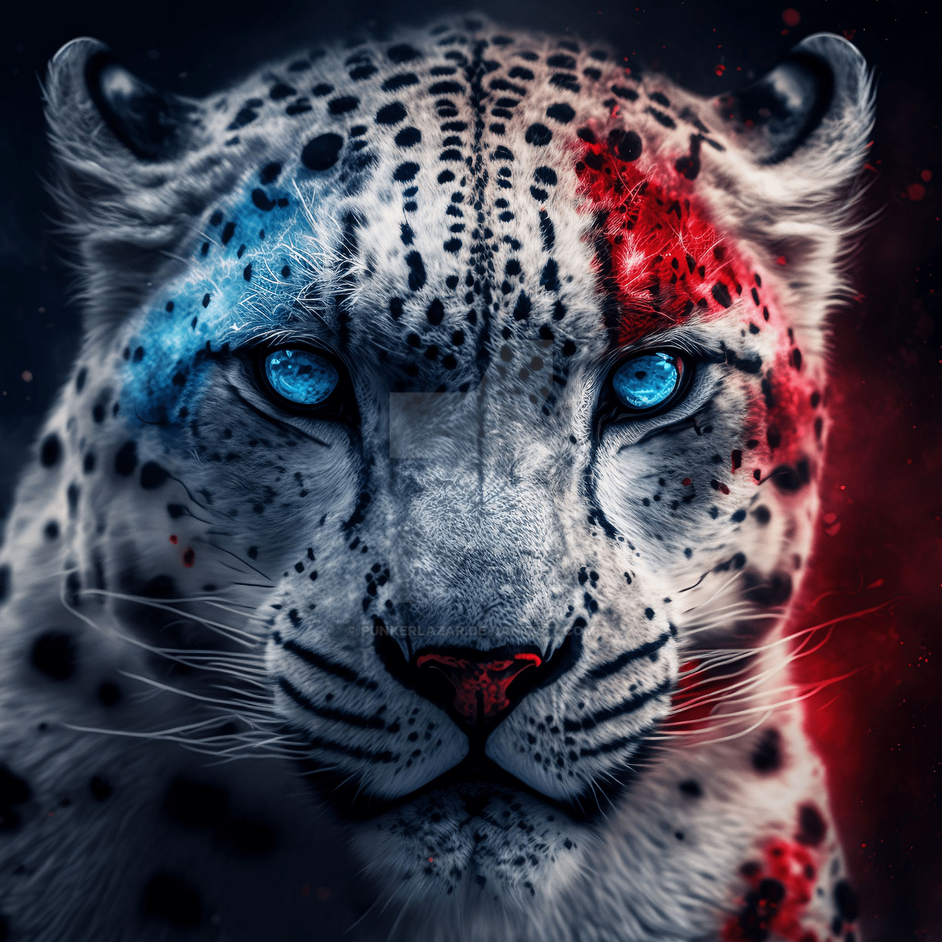 Snow leopard blue eyes 2k (4) by PunkerLazar on DeviantArt